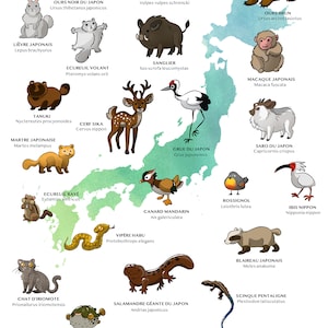 Affiches animaux du Japon