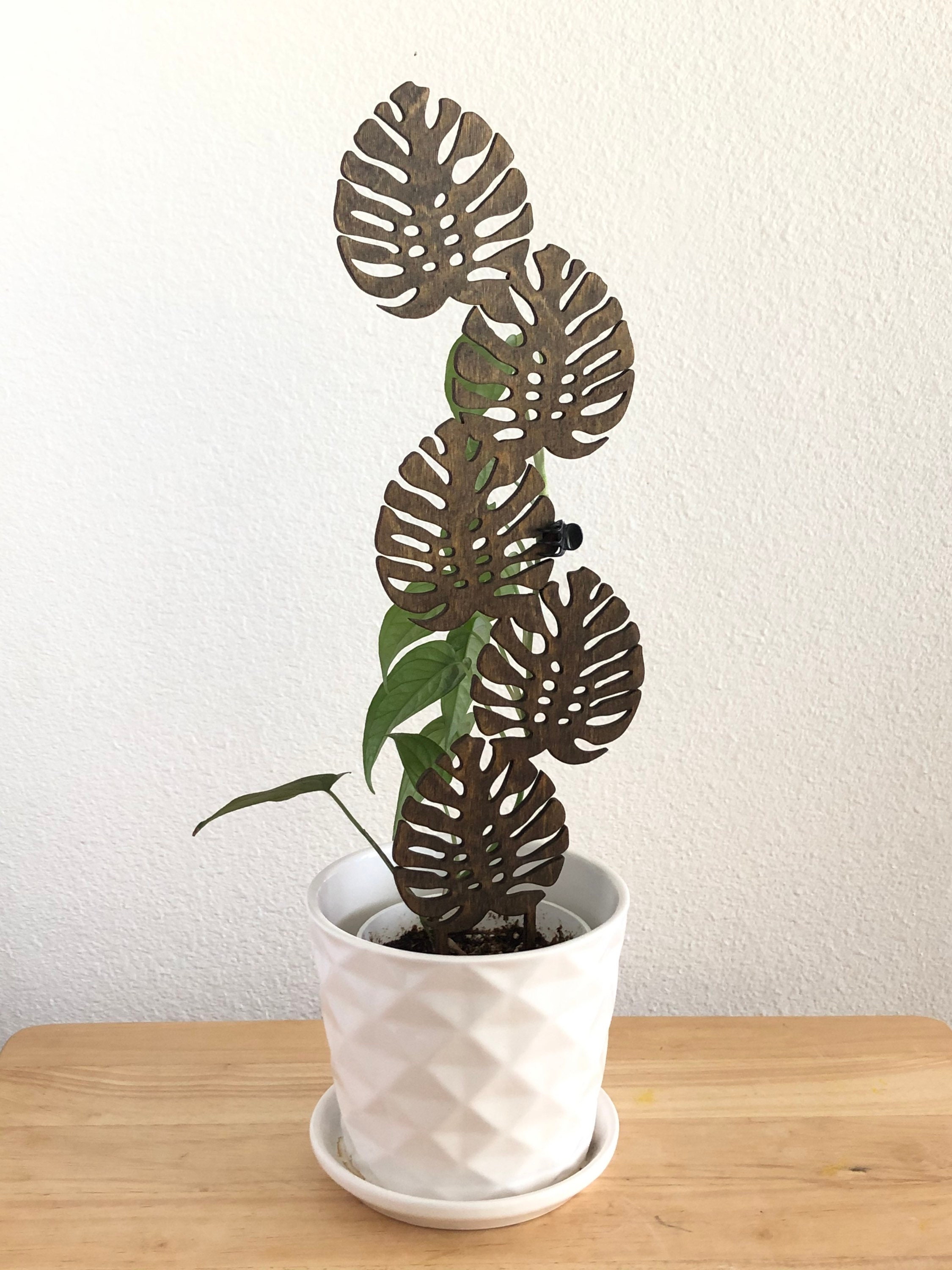 Monstera leaf wood trellis Etsy