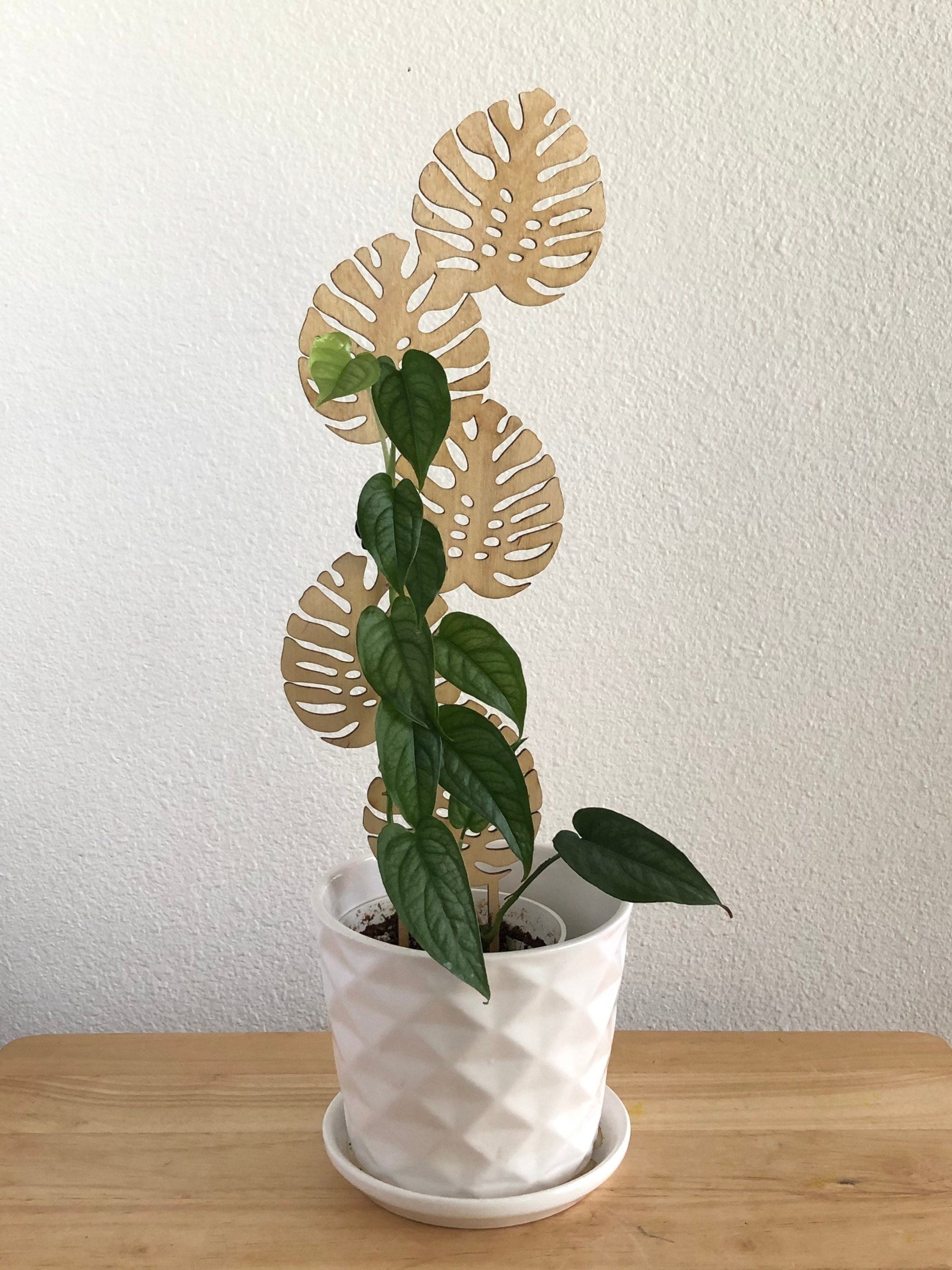 Monstera leaf wood trellis Etsy