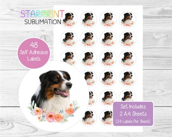 australian shepherd stickers aussie labels tags dog envelope seals
