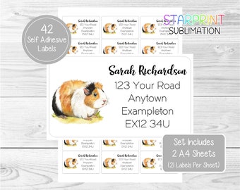 Abyssinian 42 Custom Return Stickers Guinea Pig Personalised Address Labels