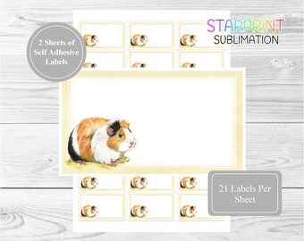 Abyssinian 42 Custom Return Stickers Guinea Pig Personalised Address Labels