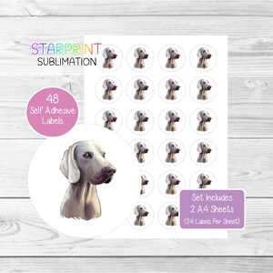 Pegatinas de perro Weimaraner, 48 etiquetas redondas (2 hojas A4, 24 por hoja), ideales para sellar sobres, bolsas de fiesta, recuerdos, tarjetas y regalos (n.° 2)