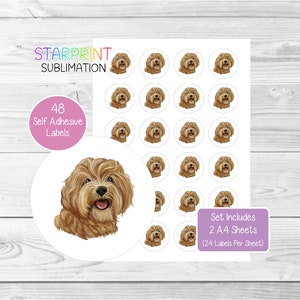 Pegatinas de Cavapoo, 48 etiquetas redondas (2 hojas A4, 24 por hoja), ideales para sellar sobres, bolsas de fiesta, regalos, tarjetas y regalos.