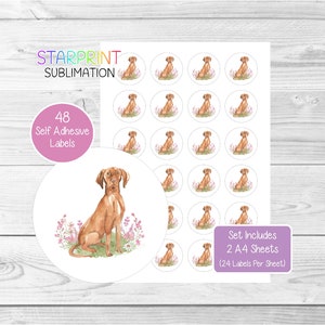 Hongaarse vizsla-hondenstickers, 48 ronde etiketten (2 A4-vellen, 24 per vel), ideaal voor envelopzegels/feestzakjes/gunsten/kaarten/cadeaus