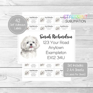 Maltese Dog Personalised Return Address Labels, 42 Custom Self Adhesive Stickers - Includes 2 A4 Sticker Sheets (21 per sheet) Presents