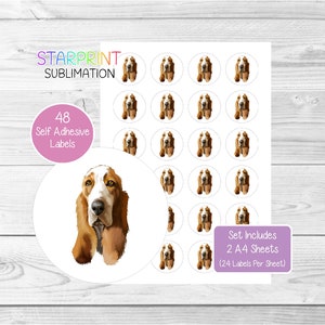 Pegatinas de Basset Hound, 48 etiquetas redondas (2 hojas A4, 24 por hoja), ideales para sellar sobres, bolsas de fiesta, recuerdos, tarjetas y regalos (n.° 3)