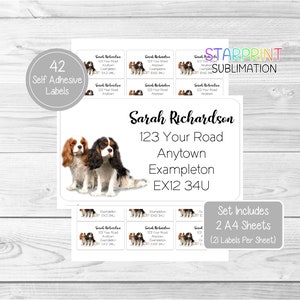 Cavalier King Charles Spaniel Duo Stickers, 42 Custom Self Adhesive Stickers - Set Includes 2 A4 Sticker Sheets (21 per sheet) Presents