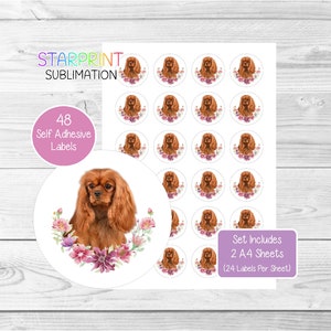 Pegatinas de Cavalier King Charles Spaniel (Ruby), 48 etiquetas redondas (2 hojas A4, 24 por hoja), para sellar sobres, bolsas de fiesta, regalos y tarjetas