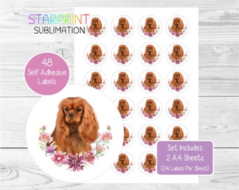 Cavalier King Charles Spaniel (Ruby) Stickers, 48 Round Labels (2 A4 Sheets, 24 Per Sheet), For Envelope Seals/Party Bags/Favors/Cards