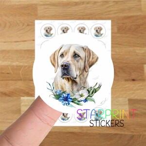Pegatinas/Sellos de sobre de Labrador amarillo, 24 etiquetas redondas, hoja de pegatinas A4 (24 etiquetas por hoja), para bolsas de fiesta, tarjetas y regalos de perro.