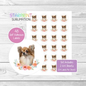 Pegatinas para perro chihuahua (de pelaje largo), 48 etiquetas redondas (2 hojas A4, 24 por hoja), ideales para sellar sobres, bolsas de fiesta, recuerdos, tarjetas y regalos (n.° 3)