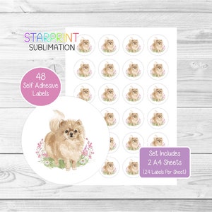 Stickers Pommeren, 48 ronde etiketten (2 A4-vellen, 24 per vel), ideaal voor envelopzegels/feestzakjes/gunsten/kaarten/cadeaus