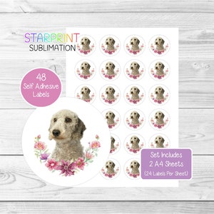 Pegatinas de perro Bedlington Terrier, 48 etiquetas redondas (2 hojas A4, 24 por hoja), ideales para sellar sobres, bolsas de fiesta, recuerdos, tarjetas y regalos.