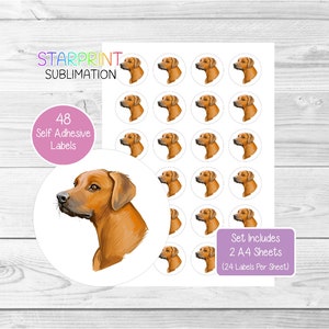 Pegatinas de perro Rhodesian Ridgeback, 48 etiquetas redondas (2 hojas A4, 24 por hoja), ideales para sellar sobres, bolsas de fiesta, regalos, tarjetas y más.