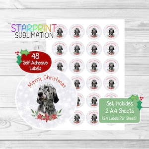 Stickers de Noël pour chien Setter anglais/Scellés pour enveloppes, 48 étiquettes rondes (2 feuilles A4, 24 par feuille), pour sacs de fête/cartes/cadeaux