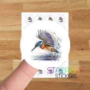 Pegatinas de martín pescador/sellos para sobres, 24 etiquetas redondas, hoja de pegatinas A4 (24 etiquetas por hoja), para bolsas de fiesta/tarjetas/regalos, regalo, pájaro