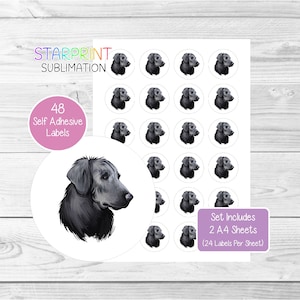 Flatcoated retriever/Flatcoat-stickers, 48 ronde labels (2 A4-vellen, 24 per vel), voor envelopzegels/Feestzakjes/gunsten/kaarten/cadeaus - nr. 3
