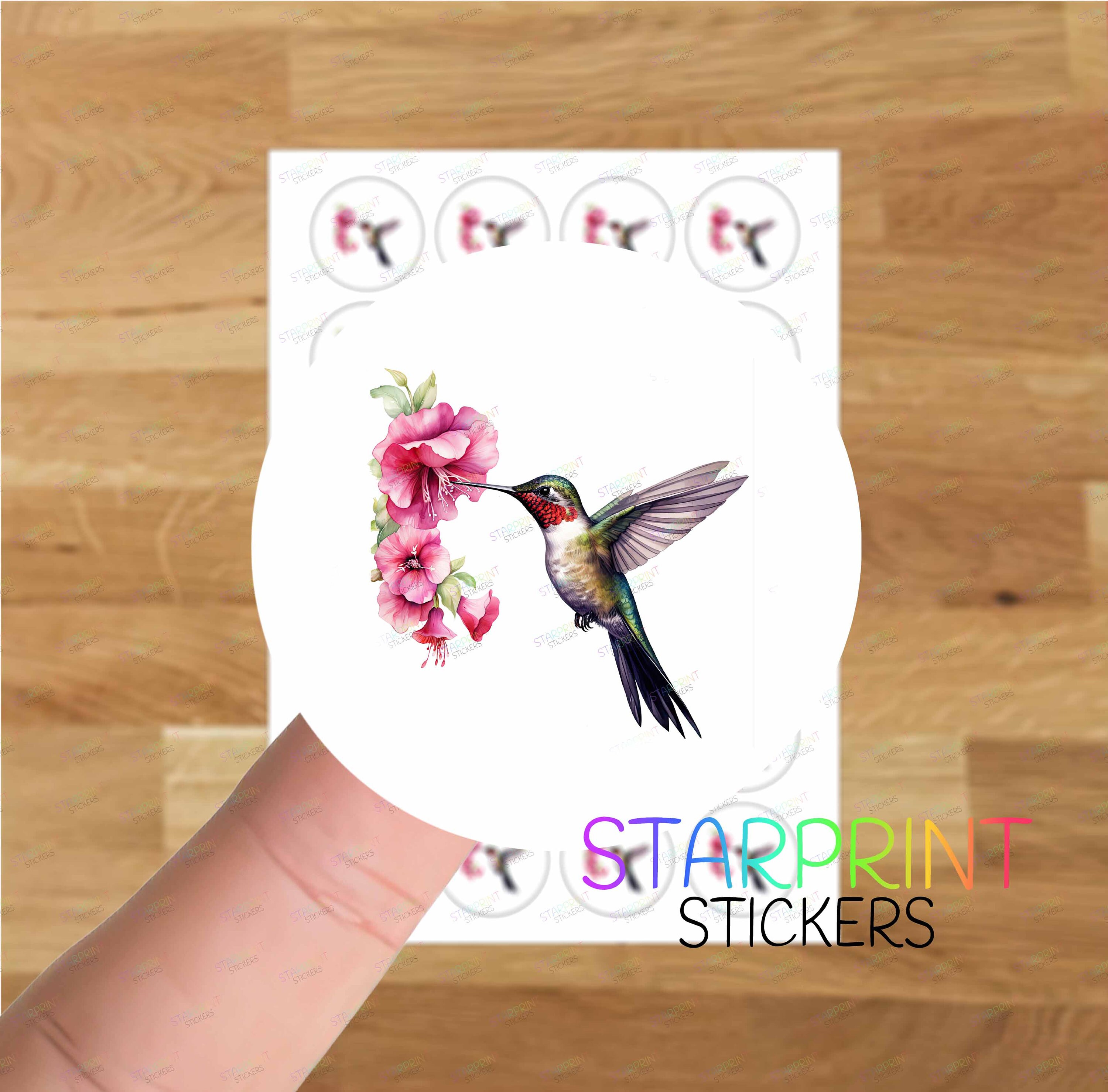 Hummingbird Stickers/envelope Seals, 24 Round Labels A4 Sticker Sheet ...