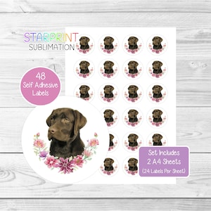 Labrador retriever (chocolade)stickers, 48 ronde etiketten (2 A4-vellen, 24 per vel), ideaal voor envelopzegels/feestzakjes/gunsten/kaarten/cadeaus