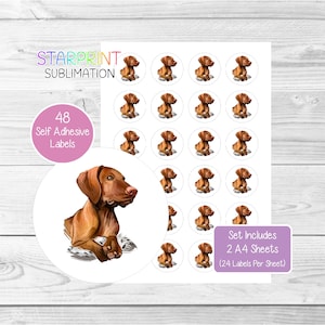 Pegatinas de perro Vizsla Húngaro, 48 etiquetas redondas (2 hojas A4, 24 por hoja), ideales para sellar sobres, bolsas de fiesta, recuerdos, tarjetas y regalos (n.° 2)