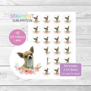 Pegatinas de Chihuahua (pelo liso), 48 etiquetas redondas (2 hojas A4, 24 por hoja), ideales para sellar sobres, bolsas de fiesta, regalos, tarjetas y más (n.° 3)