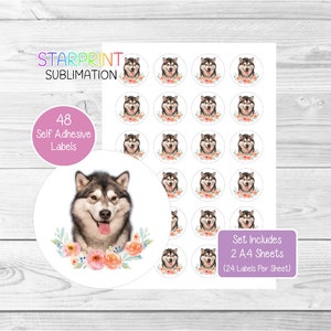 Pegatinas de perro Malamute de Alaska, 48 etiquetas redondas (2 hojas A4, 24 por hoja), ideales para sellar sobres, bolsas de fiesta, recuerdos, tarjetas y regalos (n.° 2)