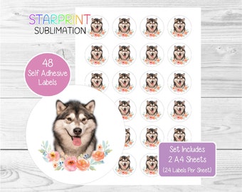 Alaskan Malamute Dog Stickers/Labels For Envelope Seals/Party Bags/Labelling