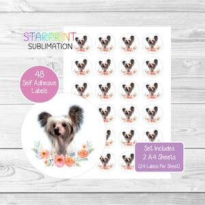 Stickers Chinese naakthond, 48 ronde etiketten (2 A4-vellen, 24 per vel), ideaal voor envelopzegels/feestzakjes/gunsten/kaarten/cadeaus