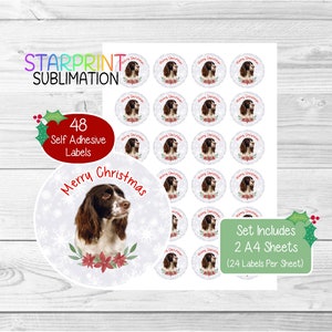 Pegatinas navideñas/sellos para sobres de perro Springer Spaniel Inglés, 48 etiquetas redondas (2 hojas A4, 24 por hoja), para bolsas de fiesta, tarjetas y regalos