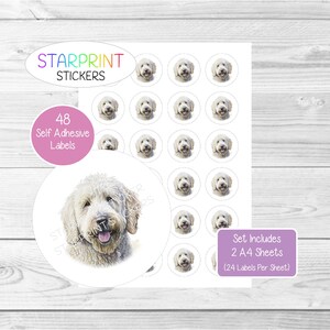 Pegatinas de perro labradoodle blanco, 48 etiquetas redondas (2 hojas A4, 24 por hoja), ideales para sellar sobres, bolsas de fiesta, regalos, tarjetas y otros objetos de regalo.