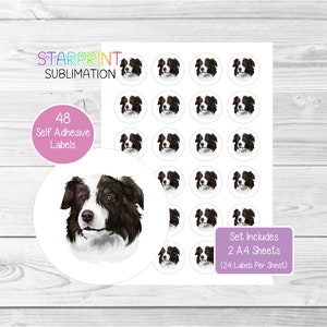 Pegatinas de perro Border Collie, 48 etiquetas redondas (2 hojas A4, 24 por hoja), ideales para sellar sobres, bolsas de fiesta, recuerdos, tarjetas y regalos (n.° 3)
