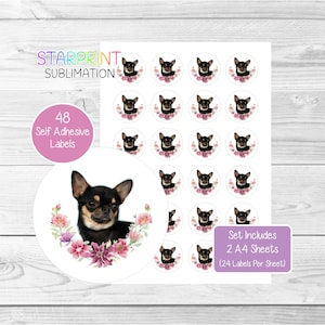 Pegatinas de Chihuahua (pelo liso), 48 etiquetas redondas (2 hojas A4, 24 por hoja), ideales para sellar sobres, bolsas de fiesta, regalos, tarjetas y más (n.° 2)
