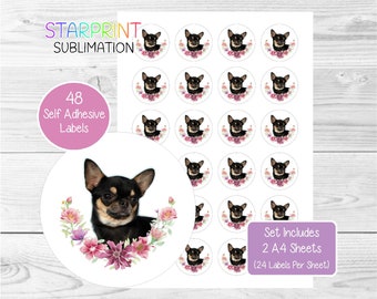 Jars and other surfaces 24 Chihuahua Dog Stickers for Envelopes Labels 