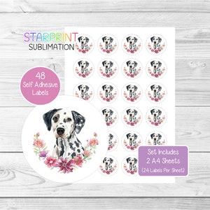 Stickers Dalmatische hond, 48 ronde etiketten (2 A4-vellen, 24 per vel), ideaal voor enveloppen/feestzakjes/gunsten/kaarten/cadeaus