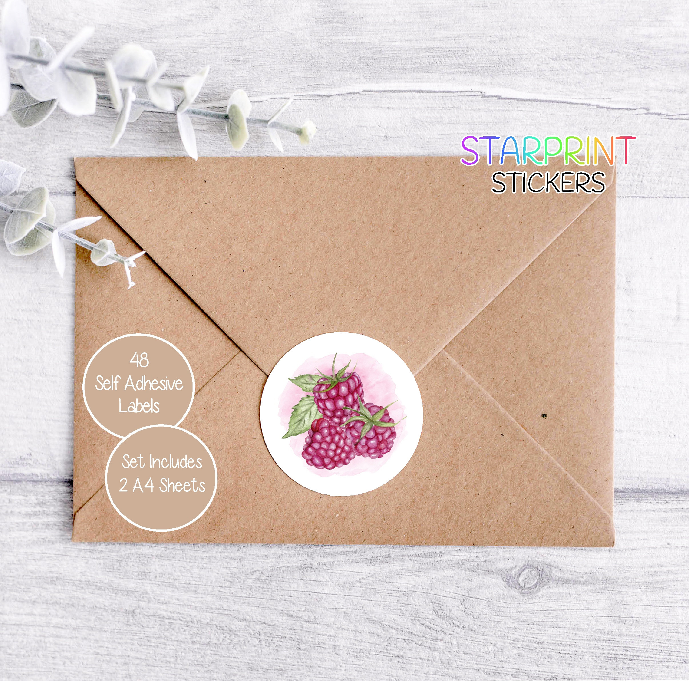 Raspberry Fruit Stickers, 48 Round Labels (2 A4 Sheets, 24 per Sheet ...