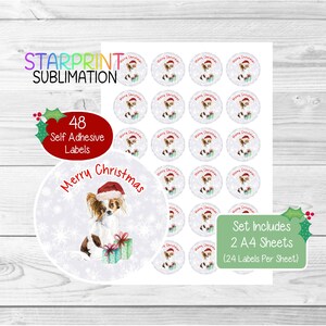 Papillon hond kerststickers/envelopzegels, 48 ronde etiketten (2 A4-vellen, 24 per vel) voor feestzakjes/kaarten/cadeaus Cadeaus