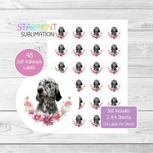 Adesivi per cani Setter inglese, 48 etichette rotonde (2 fogli A4, 24 per foglio), ideali per sigilli di buste/sacchetti per feste/bomboniere/biglietti/regali
