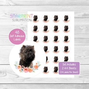Stickers chien cairn terrier, 48 étiquettes rondes (2 feuilles A4, 24 par feuille), idéal pour les enveloppes/sacs de fête/faveurs/cartes/cadeaux (n°3)