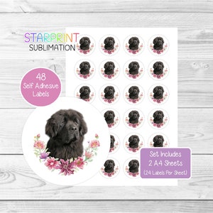 Newfoundland (Newfie) hondenstickers, 48 ronde labels (2 A4-vellen, 24 per vel), ideaal voor enveloppen/feesttassen/gunsten/kaarten/cadeaus