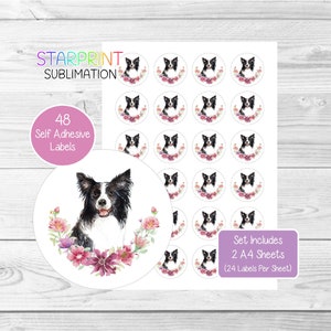 Pegatinas de perro Border Collie, 48 etiquetas redondas (2 hojas A4, 24 por hoja), ideales para sellar sobres, bolsas de fiesta, regalos, tarjetas (N2)