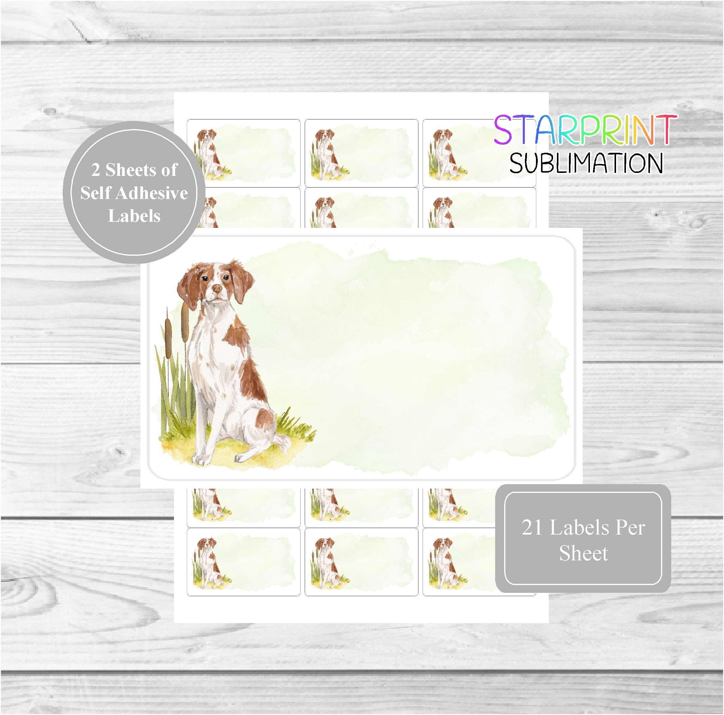 Brittany Spaniel Sticker Sheets, 42 Self Adhesive Multi Purpose Stickers/Sticky Labels (21 Per Sheet), Blank For Address Labels/Gift Tags