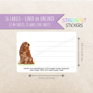 Pode incluir: Um conjunto de 16 etiquetas com ou sem linhas, apresentando um Cavalier King Charles Spaniel marrom e branco. As etiquetas medem 9,9 cm (3,9 polegadas) de largura e 6,8 cm (2,67 polegadas) de altura. As etiquetas são impressas em folhas A4, com 8 etiquetas por folha. O texto na etiqueta diz: "FROM: Your Name/Business, 1234 Example Avenue, Sometown. Some County, AB12 3CD, Some Country, Earth"