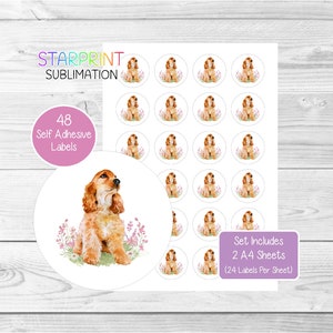 Cocker-spaniël (goud) hondenstickers, 48 ronde labels (2 A4-vellen, 24 per vel), ideaal voor envelopzegels/Feestzakjes/gunsten/kaarten/cadeaus