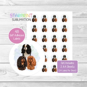 Pegatinas de Cavalier King Charles Spaniel, 48 etiquetas redondas (2 hojas A4, 24 por hoja), para sellar sobres, bolsas de fiesta, regalos y tarjetas.