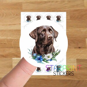Pegatinas/Sellos de sobre de Labrador marrón chocolate, 24 etiquetas redondas, hoja de pegatinas A4 (24 etiquetas por hoja), para bolsas de fiesta, tarjetas y regalos de perro.