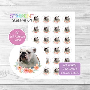 Pegatinas de bulldog, 48 etiquetas redondas (2 hojas A4, 24 por hoja), ideales para sellar sobres, bolsas de fiesta, recuerdos, tarjetas y regalos (n.° 2)