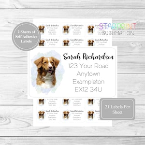 Etiquetas de endereço personalizadas para Nova Scotia Duck Tolling Retriever, 42 adesivos autoadesivos personalizados - 2 folhas de adesivos A4 (21 por folha)