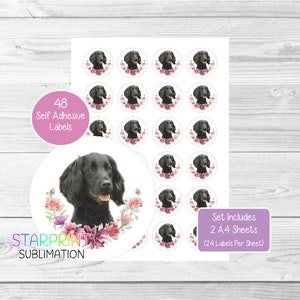 Working cocker-spaniëlstickers, 48 ronde labels (2 A4-vellen, 24 per vel), ideaal voor envelopzegels/feestzakjes/gunsten/kaarten/cadeaus
