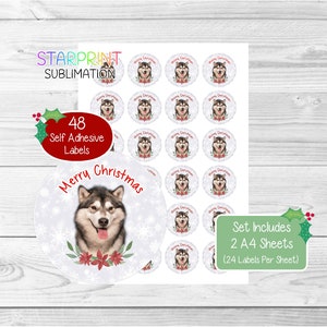 Stickers de Noël pour chien Malamute d'Alaska, 48 étiquettes rondes (2 feuilles A4, 24 par feuille), pour sacs de fête/cartes/cadeaux